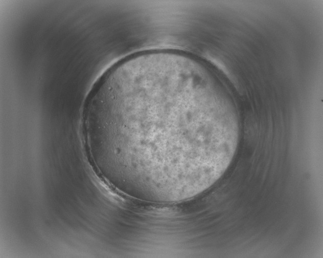 X0000068741460200605121531