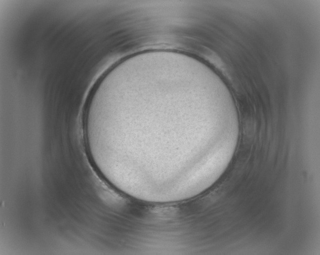 X0000068741466200605121531