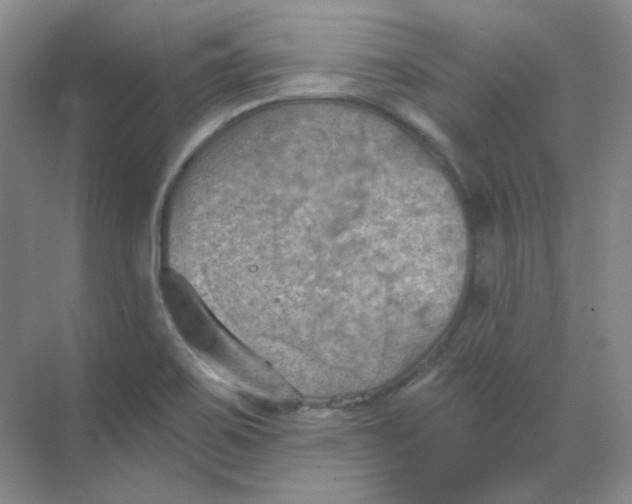 X0000068741467200605121531