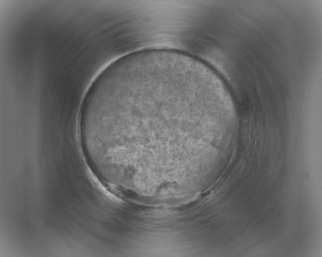 X0000068741468200605121531