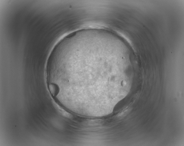 X0000068741471200605121531