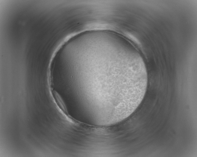 X0000068741472200605121531