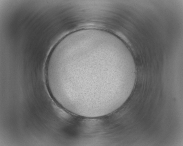 X0000068741474200605121531