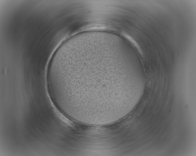 X0000068741475200605121531