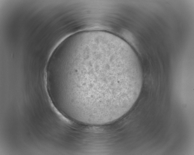 X0000068741476200605121531