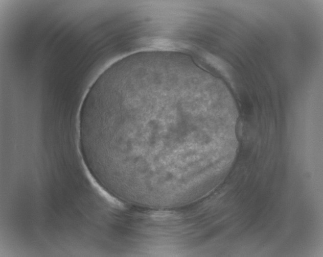 X0000068741479200605121531