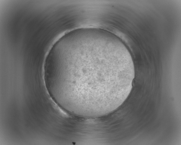 X0000068741480200605121531