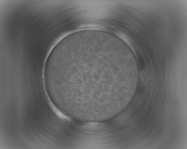 X0000068741482200605121531