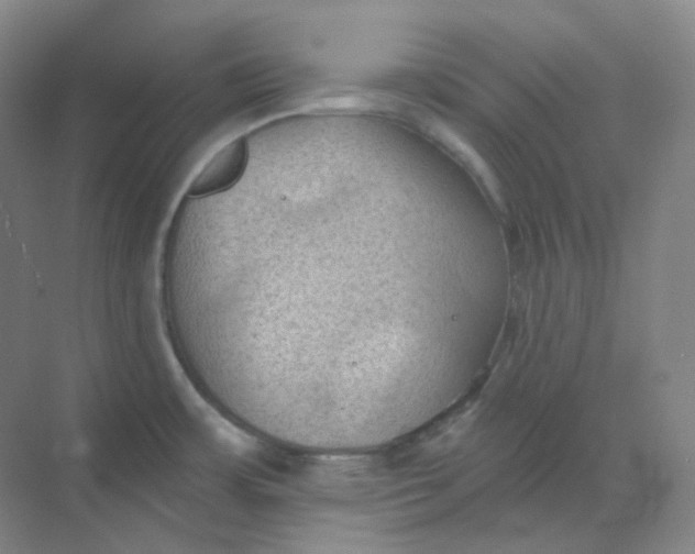 X0000068741483200605121531