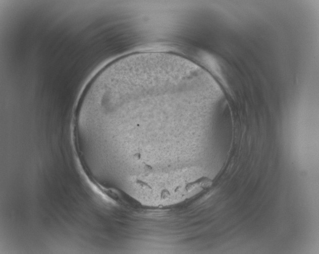 X0000068741484200605121531