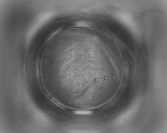 X0000068741487200605121531