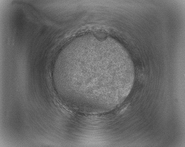 X0000068741489200605121530