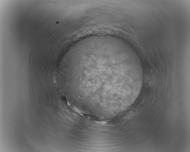 X0000068741490200605121530