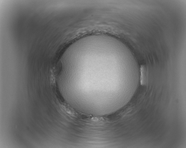 X0000068741491200605121530