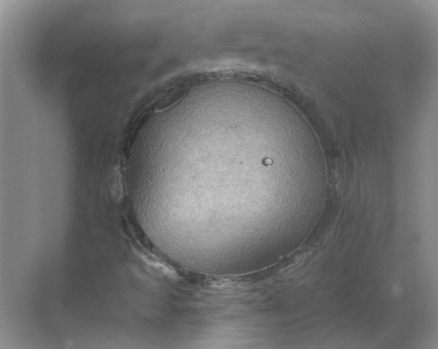 X0000068741493200605121530