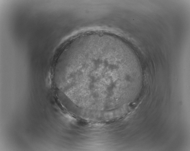 X0000068741494200605121530