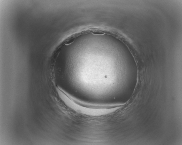 X0000068741496200605121530