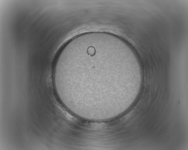 X0000068741498200605121530