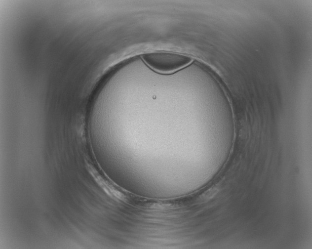 X0000068741499200605121530