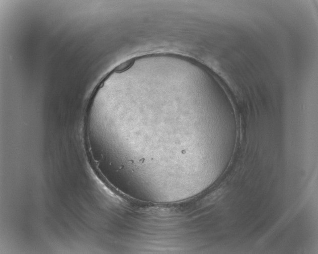 X0000068741500200605121530