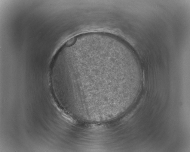 X0000068741501200605121530