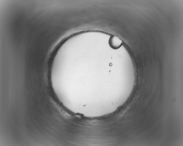 X0000068741502200605121530