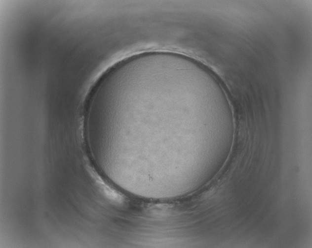 X0000068741503200605121530