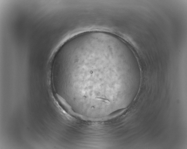 X0000068741504200605121530