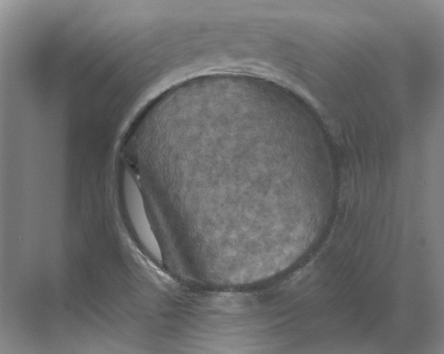 X0000068741506200605121530