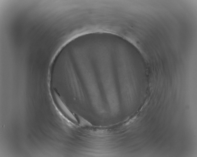 X0000068741508200605121530