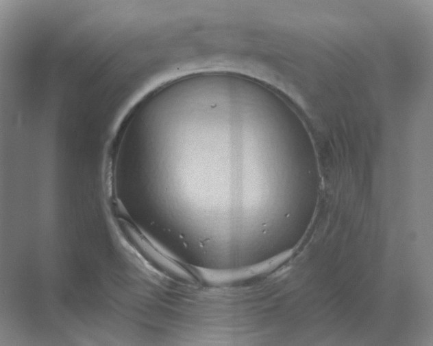 X0000068741510200605121530