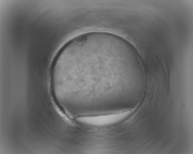 X0000068741511200605121530