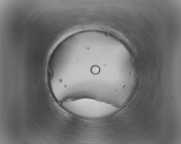 X0000068741512200605121530