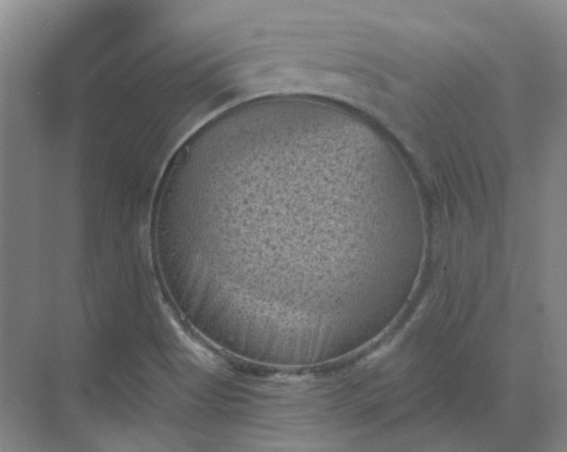 X0000068741513200605121530