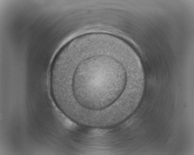 X0000068741514200605121530