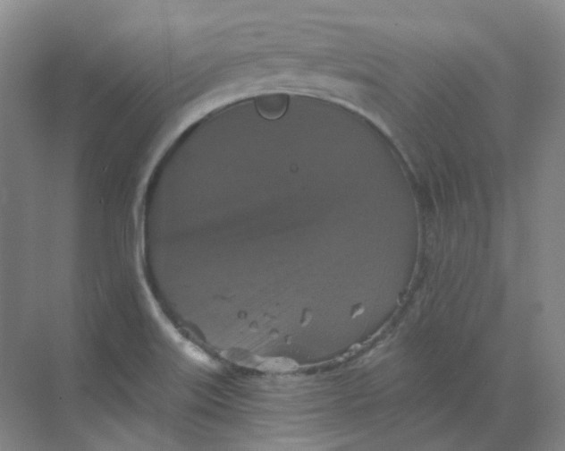 X0000068741515200605121530