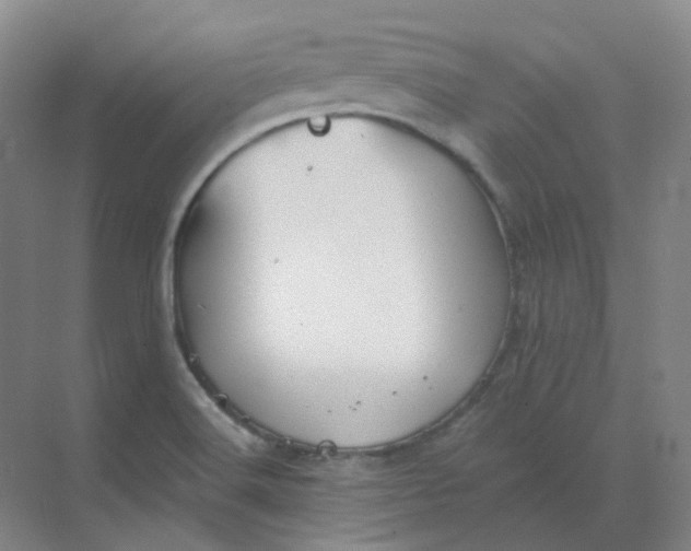 X0000068741516200605121530