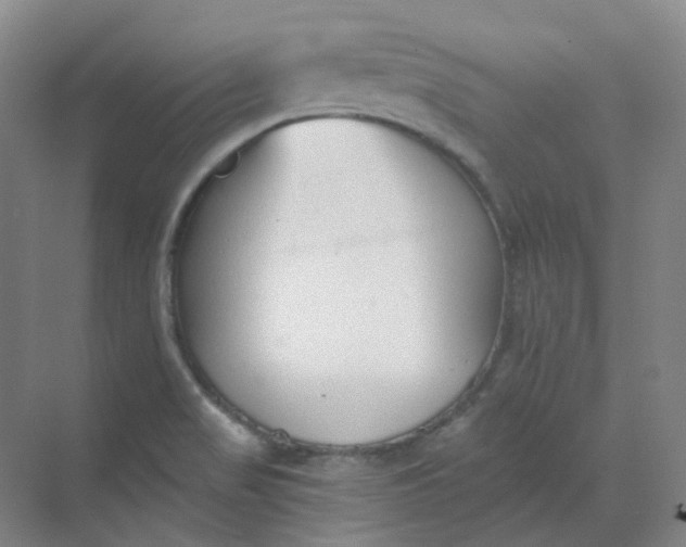 X0000068741517200605121530