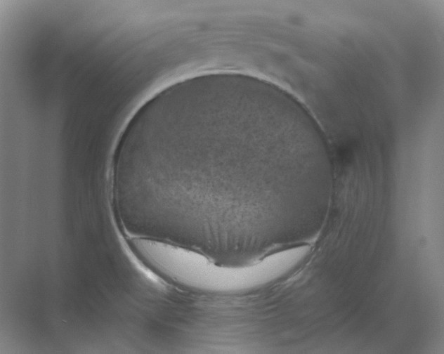 X0000068741519200605121530