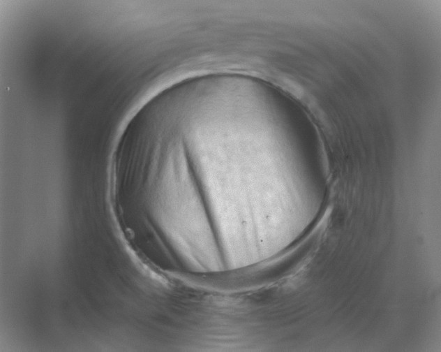 X0000068741520200605121531