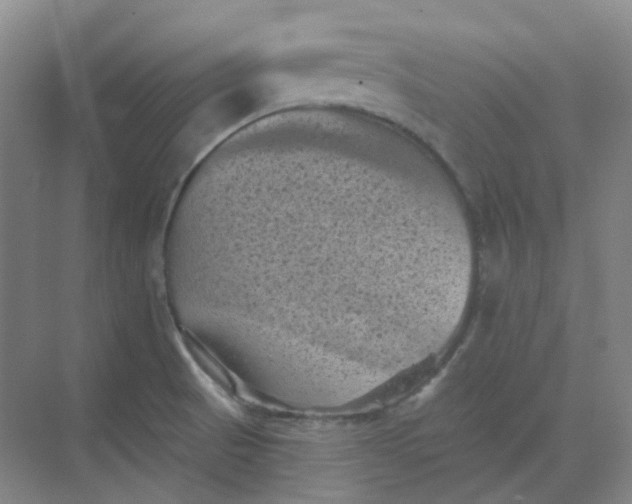 X0000068741521200605121531