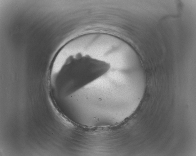 X0000068741522200605121531