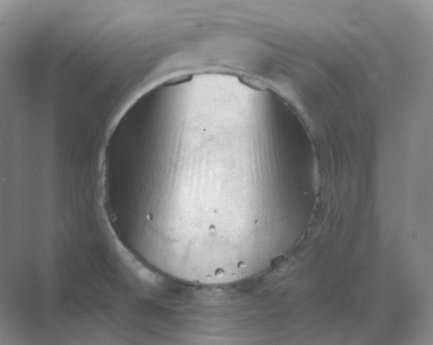 X0000068741524200605121531