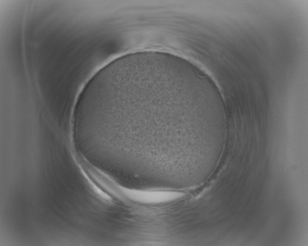 X0000068741525200605121531