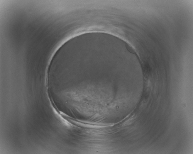 X0000068741527200605121531