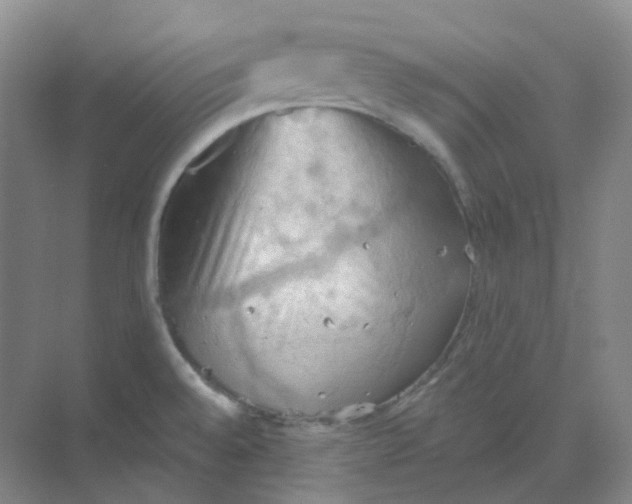 X0000068741528200605121531