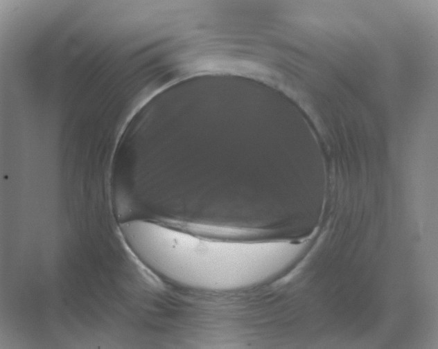 X0000068741529200605121531