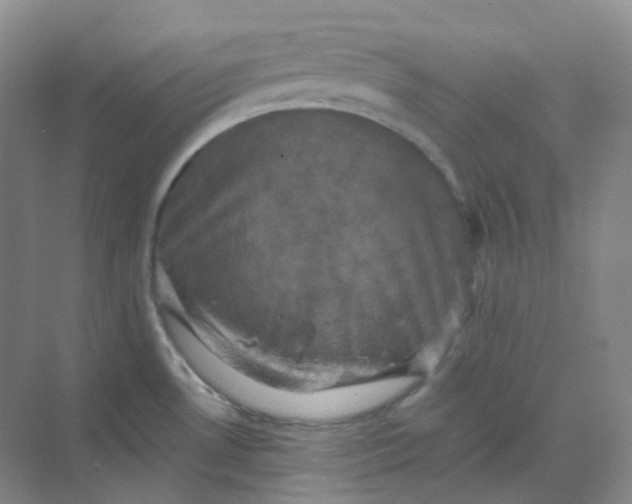 X0000068741530200605121531