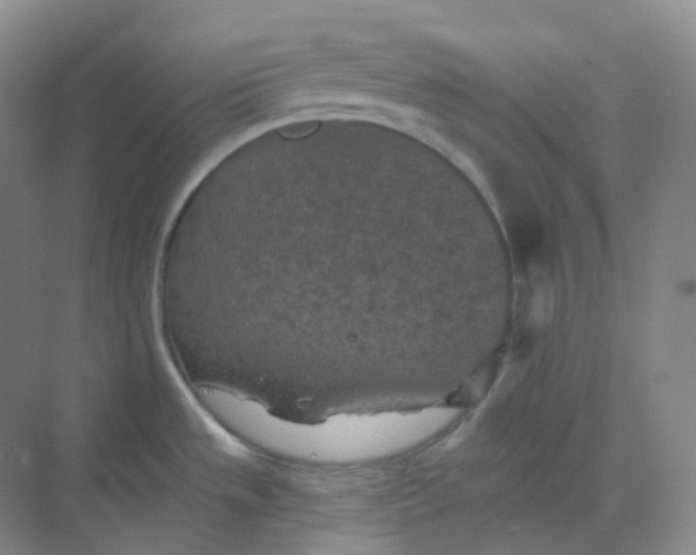 X0000068741533200605121531