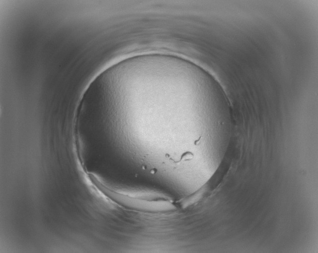 X0000068741534200605121531